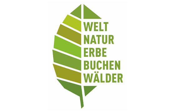 Weltnaturerbe Buchenwälder