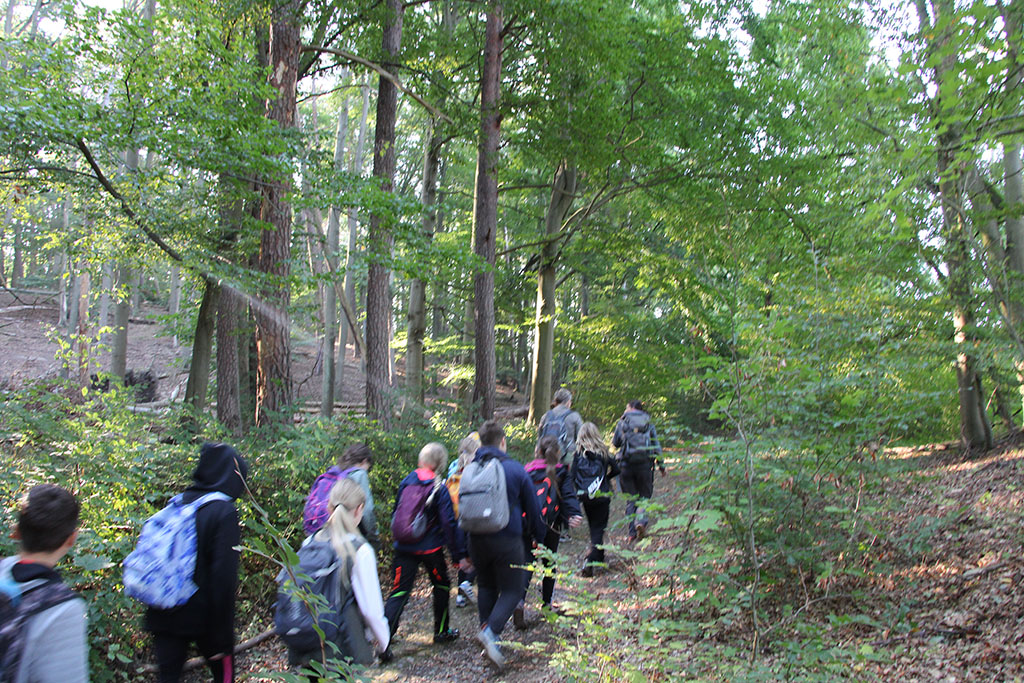 Beliebter Wald Fluch - oder Segen​