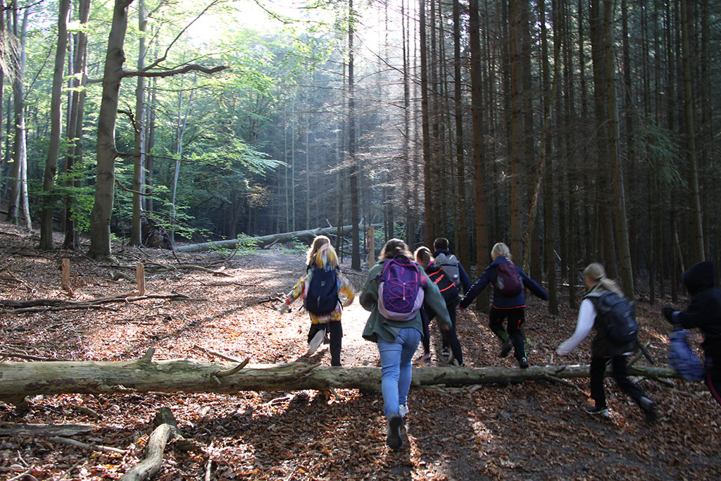 Zwitschern im Urwald von Morgen​