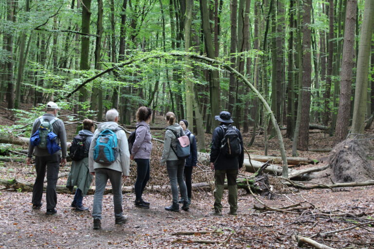 Verhalten im Weltnaturerbe - Beitragsbild