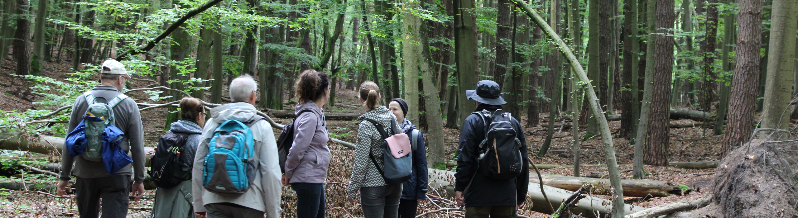 Verhalten im Weltnaturerbe - Header