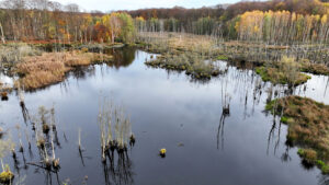 Impression Brandenburg