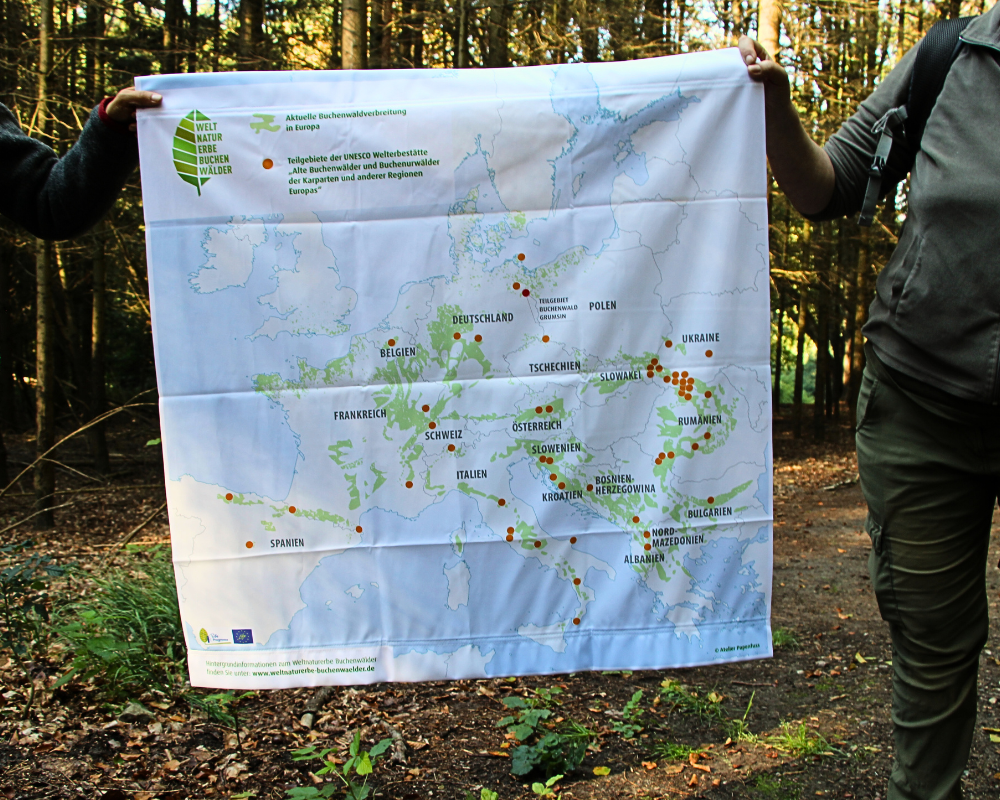 Die 93 UNESCO-Buchenwaldteilgebiete in Europa