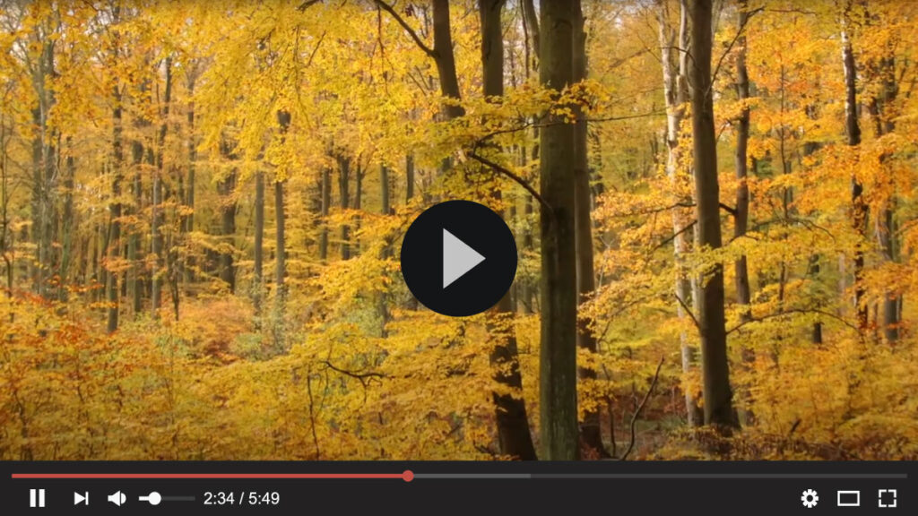 Neuer Film über die Weltnaturerbestätte