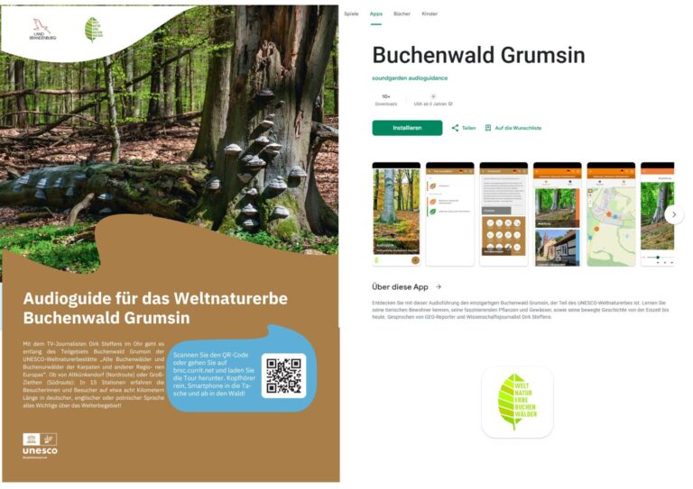 Buchenwald Grumsin Audioguide download
