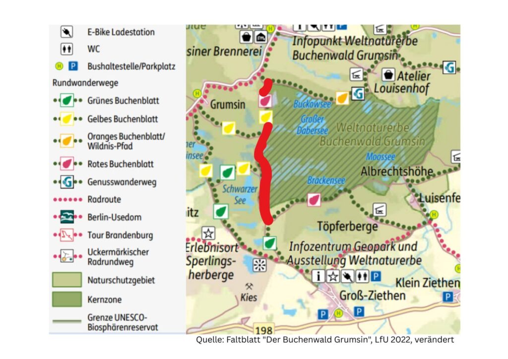 Buchwenwald Grumsin Jagd Infos für Besucher im Herbst 2025