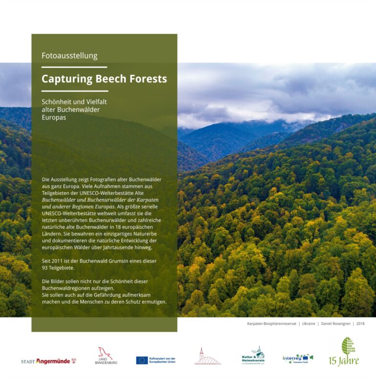 Outdoorausstellung „Capturing Beech Forests“