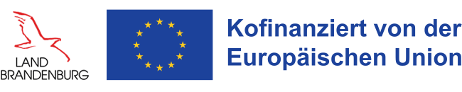 eu_foerderungshinweis