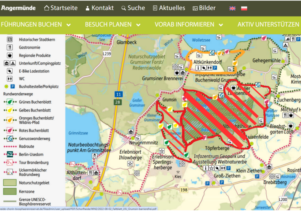 Hunting information for hikers in the Grumsin Beech Forest 2026